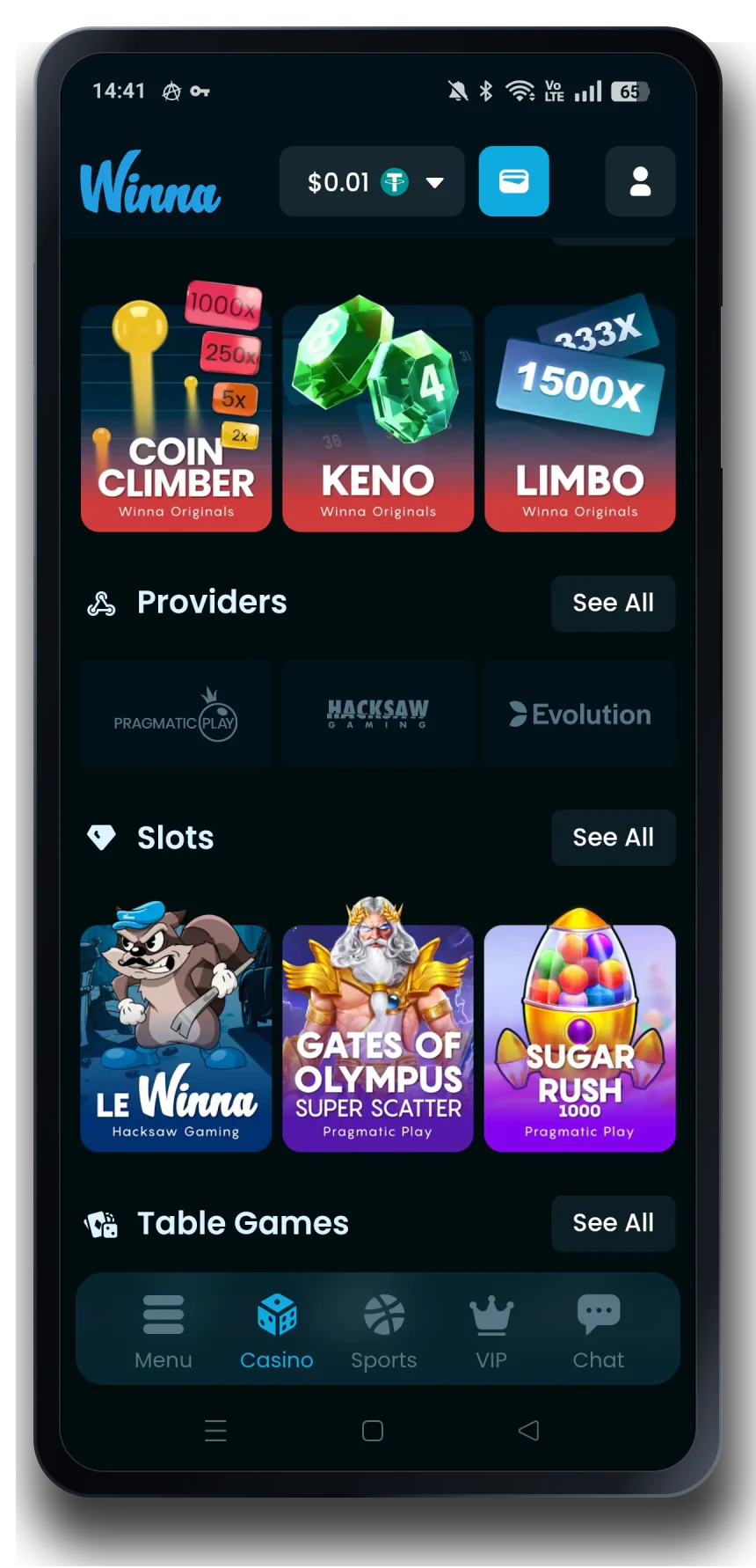 Winna casino mobile interface